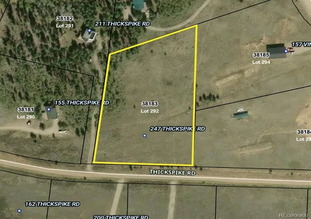 13th image of 247 Thickspike, Fairplay, CO 80440 | MLS# 2108075