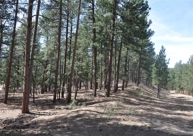 Homes for sale in Larkspur, CO | Wood Sorrel Rd, Larkspur, CO 80118 | MLS# 7965389