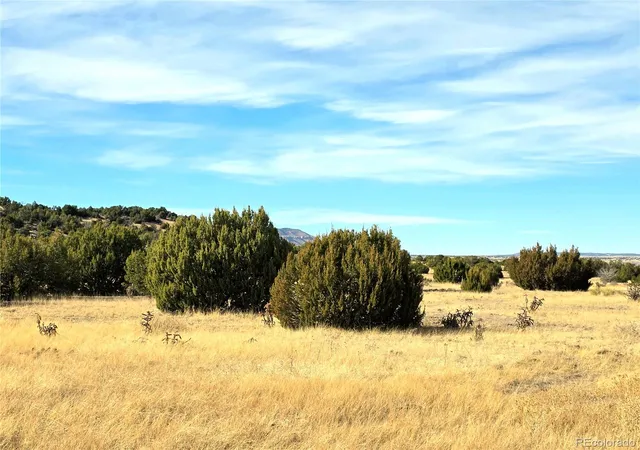 8th image of Lot 21 Of 13565 Bat Masterson Dr, Trinidad, CO 81082 | MLS# 7999675