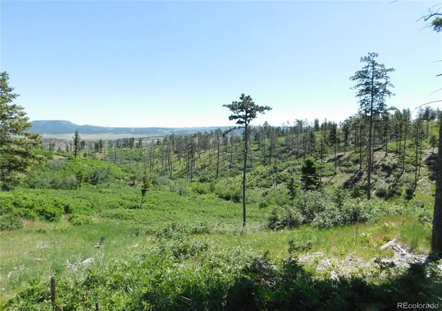 Homes for sale in Larkspur, CO | 8249 Yuma Cir, Larkspur, CO 80118 | MLS# 3760177