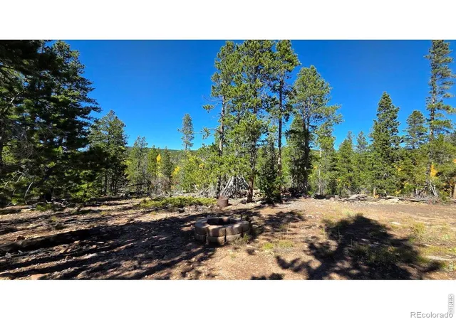 Homes for sale in Red Feather Lakes, CO | 1367 Osage Trl, Red Feather Lakes, CO 80545 | MLS# IR1054759