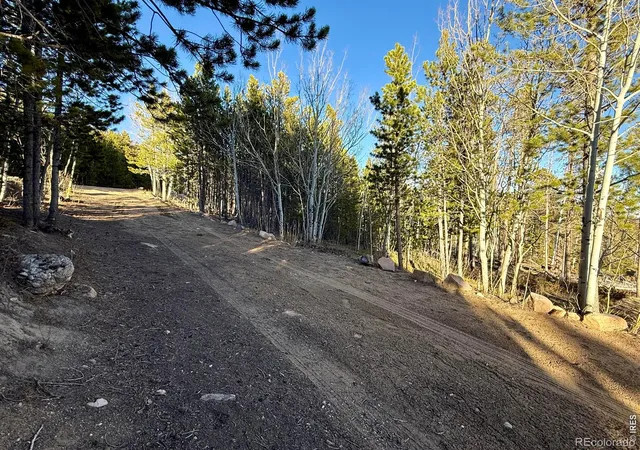 3rd image of 227 Micmac Dr, Red Feather Lakes, CO 80545 | MLS# IR1054801