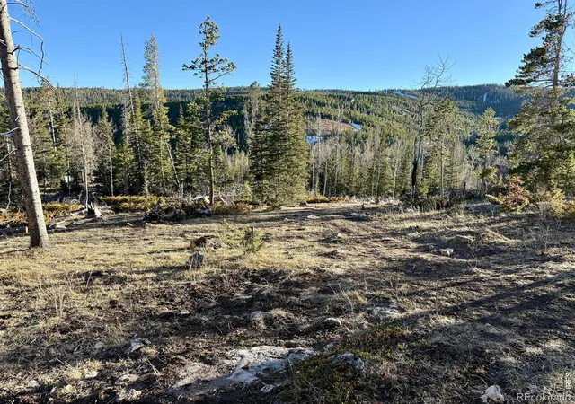 4th image of 227 Micmac Dr, Red Feather Lakes, CO 80545 | MLS# IR1054801