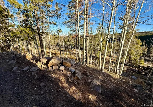 5th image of 227 Micmac Dr, Red Feather Lakes, CO 80545 | MLS# IR1054801