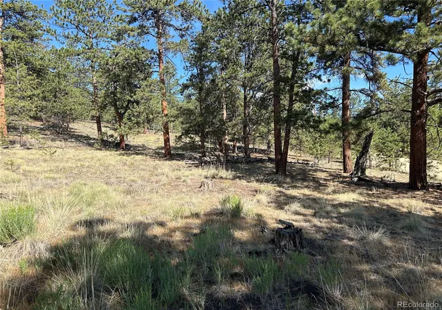 Photo 1 of Land for sale at 565 Hayhook Way, Hartsel, CO 80449 | MLS# 8765441 | Listing updated on 2026-07-29