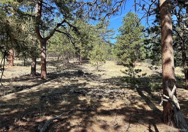 Photo 1 of Land for sale at 565 Hayhook Way, Hartsel, CO 80449 | MLS# 8765441 | Listing updated on 2026-07-29