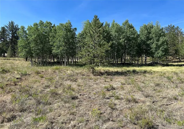 Photo 2 of Land for sale at 565 Hayhook Way, Hartsel, CO 80449 | MLS# 8765441 | Listing updated on 2026-07-29