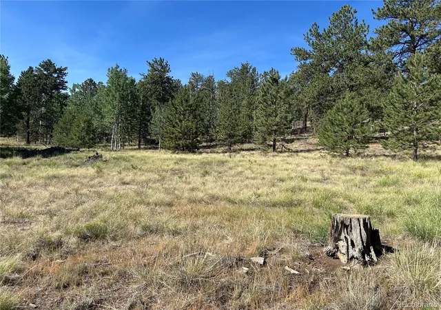 Photo 3 of Land for sale at 565 Hayhook Way, Hartsel, CO 80449 | MLS# 8765441 | Listing updated on 2026-07-29