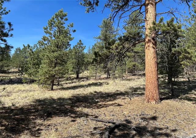 Photo 4 of Land for sale at 565 Hayhook Way, Hartsel, CO 80449 | MLS# 8765441 | Listing updated on 2026-07-29