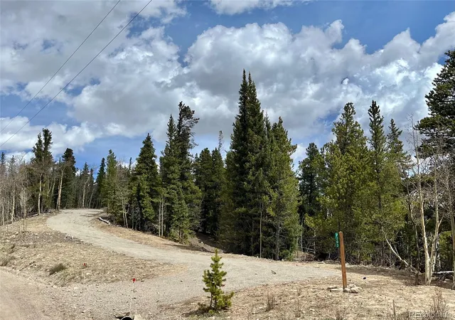 Homes for sale in Fairplay, CO | 2203 Lakeside Dr, Fairplay, CO 80440 | MLS# 7068346
