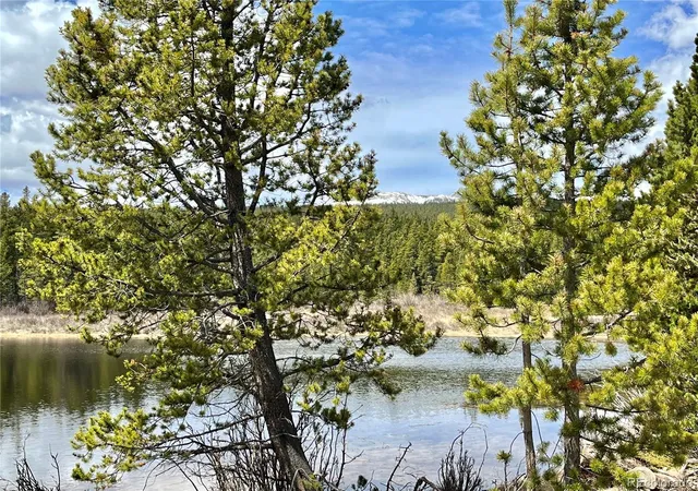 Homes for sale in Fairplay, CO | 2203 Lakeside Dr, Fairplay, CO 80440 | MLS# 7068346