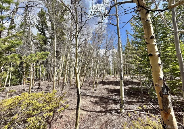 Homes for sale in Fairplay, CO | 2203 Lakeside Dr, Fairplay, CO 80440 | MLS# 7068346