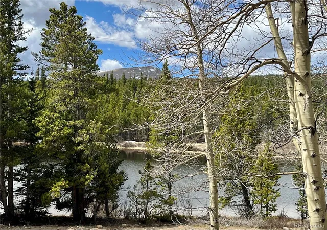 Homes for sale in Fairplay, CO | 2203 Lakeside Dr, Fairplay, CO 80440 | MLS# 7068346