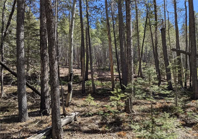 Photo 3 of Land for sale at 3375 Purnell Ln, Fort Garland, CO 81133 | MLS# 2318586 | Listing updated on 2026-09-18
