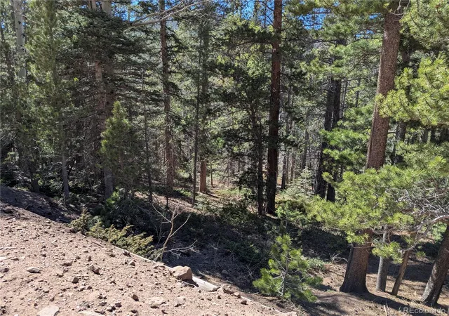 Photo 4 of Land for sale at 3375 Purnell Ln, Fort Garland, CO 81133 | MLS# 2318586 | Listing updated on 2026-09-18