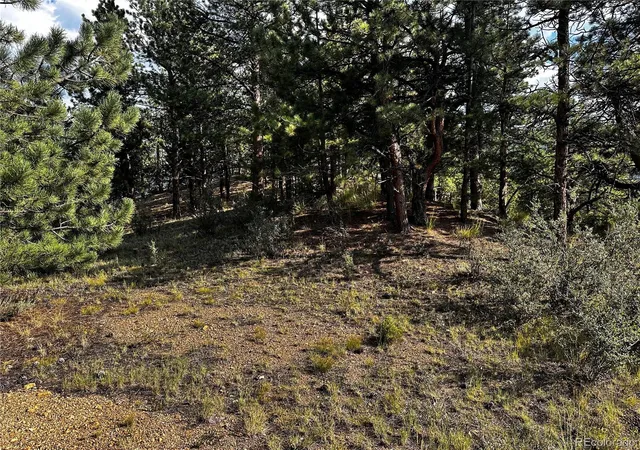 Homes for sale in Dumont, CO | 1835 20 3 00 639 10 Ww 5, Dumont, CO 80436 | MLS# 3827062