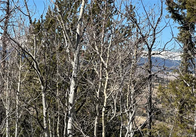 25th image of 505 N Quarter Horse Rd, Jefferson, CO 80456 | MLS# 2737688