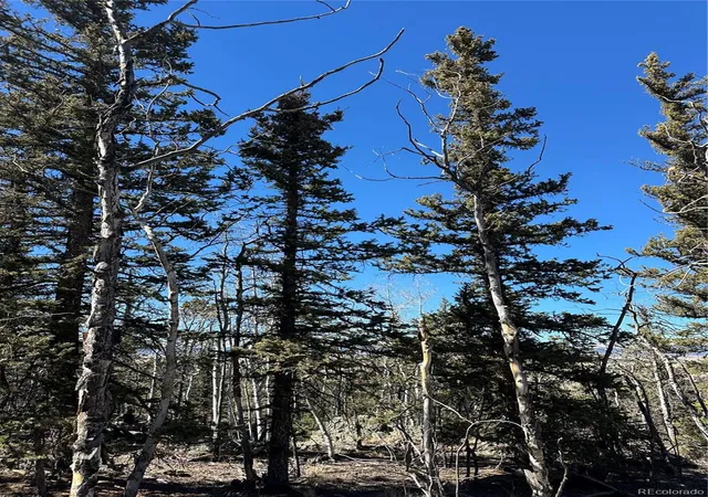 4th image of 505 N Quarter Horse Rd, Jefferson, CO 80456 | MLS# 2737688