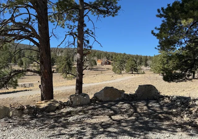 Homes for sale in Hartsel, CO | 909 Pitchfork Rd, Hartsel, CO 80449 | MLS# 1748088