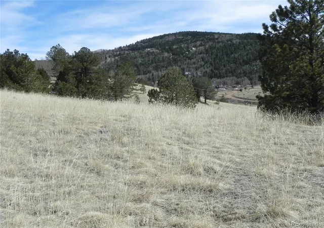 Homes for sale in Cripple Creek, CO | 1087 Monarch Dr, Cripple Creek, CO 80813 | MLS# 2206239