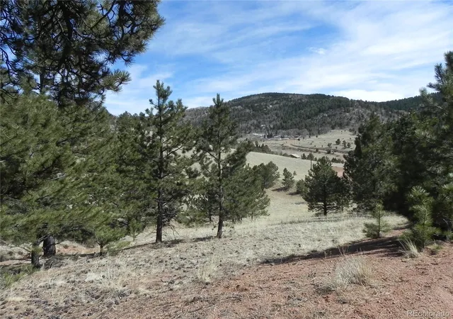 Homes for sale in Cripple Creek, CO | 1087 Monarch Dr, Cripple Creek, CO 80813 | MLS# 2206239