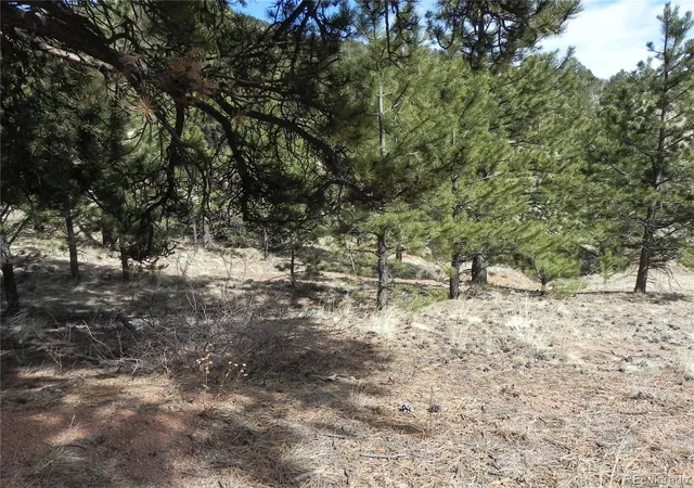 Homes for sale in Cripple Creek, CO | 1087 Monarch Dr, Cripple Creek, CO 80813 | MLS# 2206239