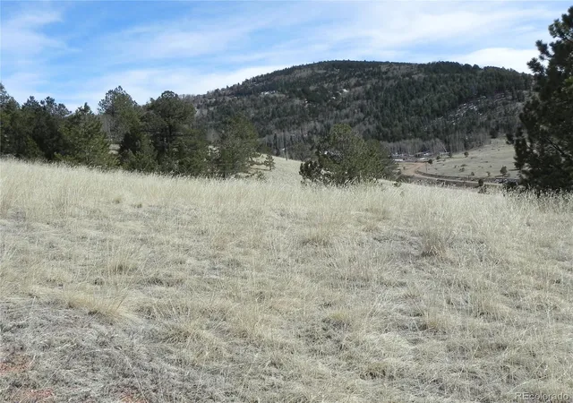Homes for sale in Cripple Creek, CO | 1087 Monarch Dr, Cripple Creek, CO 80813 | MLS# 2206239