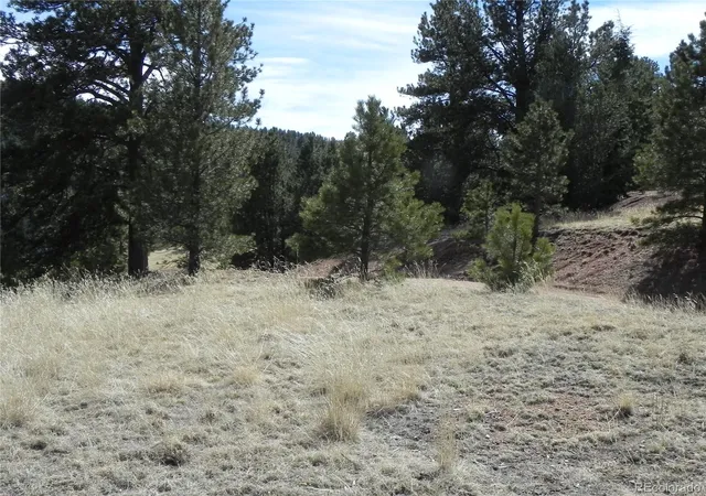 Homes for sale in Cripple Creek, CO | 1087 Monarch Dr, Cripple Creek, CO 80813 | MLS# 2206239