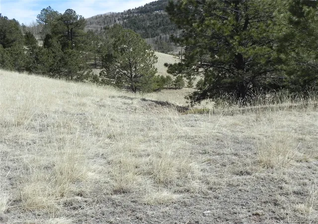 Homes for sale in Cripple Creek, CO | 1087 Monarch Dr, Cripple Creek, CO 80813 | MLS# 2206239