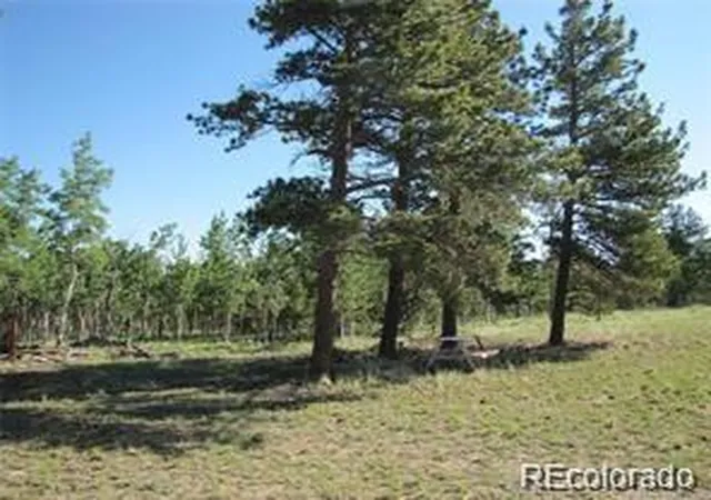 1st image of 257 Bolster Dr, Hartsel, CO 80449 | MLS# 6072695