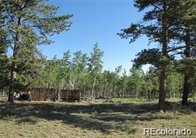 2nd image of 257 Bolster Dr, Hartsel, CO 80449 | MLS# 6072695