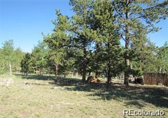 3rd image of 257 Bolster Dr, Hartsel, CO 80449 | MLS# 6072695