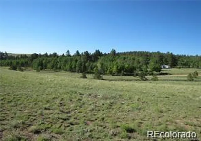 4th image of 257 Bolster Dr, Hartsel, CO 80449 | MLS# 6072695