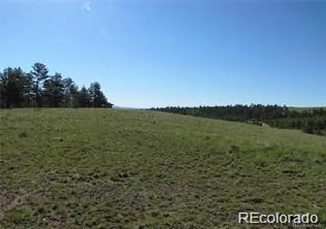 5th image of 257 Bolster Dr, Hartsel, CO 80449 | MLS# 6072695