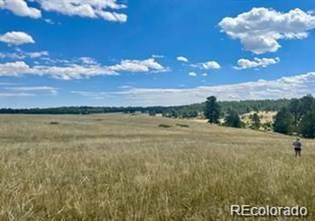 3rd image of 11726 Cr 102, Elbert, CO 80106 | MLS# 2396986