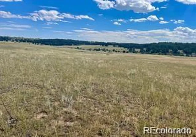4th image of 11726 Cr 102, Elbert, CO 80106 | MLS# 2396986