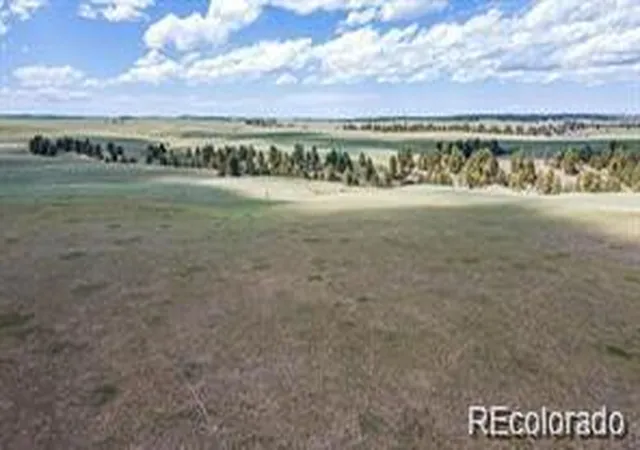 5th image of 11726 Cr 102, Elbert, CO 80106 | MLS# 2396986