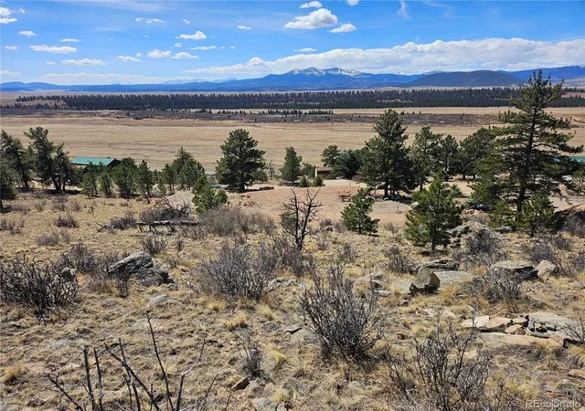 3rd image of 636 Bonell Dr, Fairplay, CO 80440 | MLS# 9830924