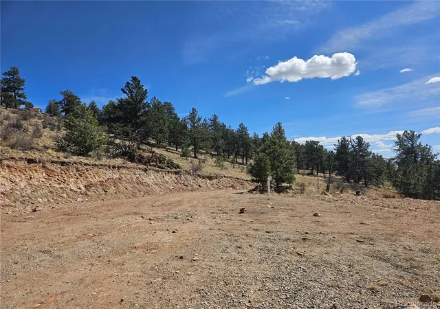4th image of 636 Bonell Dr, Fairplay, CO 80440 | MLS# 9830924