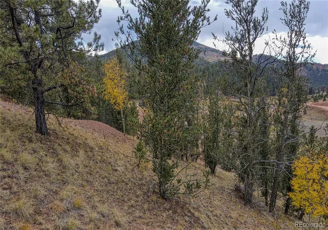 Homes for sale in Cripple Creek, CO | 65 Portland Dr, Cripple Creek, CO 80813 | MLS# 6823806
