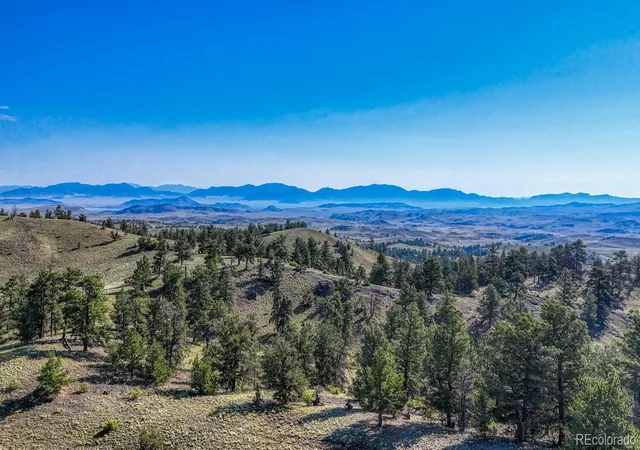Homes for sale in Hartsel, CO | 741 Wolfe Rd, Hartsel, CO 80449 | MLS# 8262510