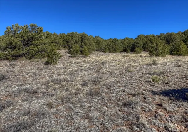3rd image of 885 Crow Rd, Westcliffe, CO 81252 | MLS# 2538639