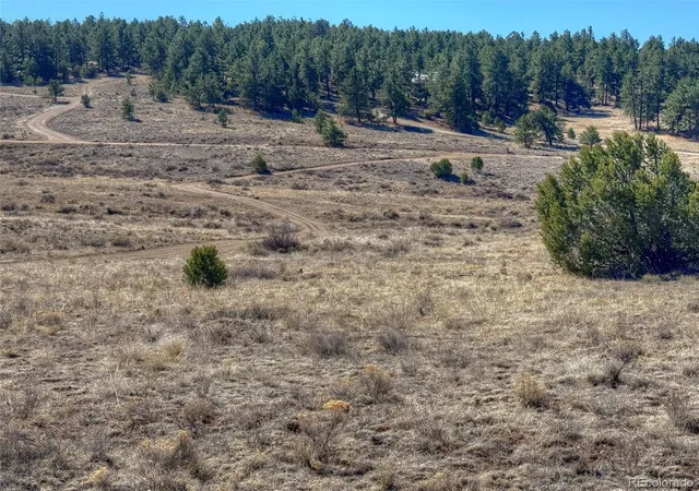4th image of 885 Crow Rd, Westcliffe, CO 81252 | MLS# 2538639