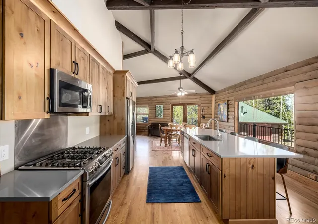 Homes for sale in Idaho Springs, CO | 260 Pine Dr, Idaho Springs, CO 80452 | MLS# 7430931