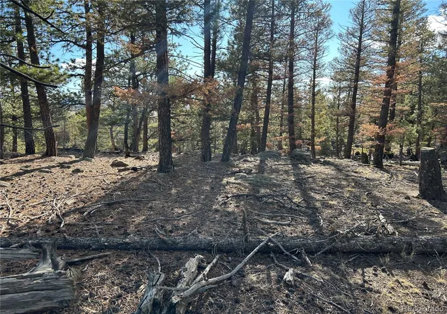 Homes for sale in Hartsel, CO | 1581 Bellows Rd, Hartsel, CO 80449 | MLS# 1974054
