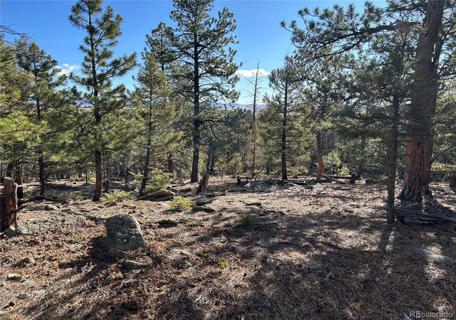 Homes for sale in Hartsel, CO | 1581 Bellows Rd, Hartsel, CO 80449 | MLS# 1974054