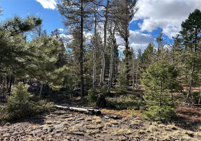 Homes for sale in Hartsel, CO | 1581 Bellows Rd, Hartsel, CO 80449 | MLS# 1974054