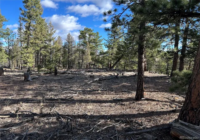 Homes for sale in Hartsel, CO | 1581 Bellows Rd, Hartsel, CO 80449 | MLS# 1974054