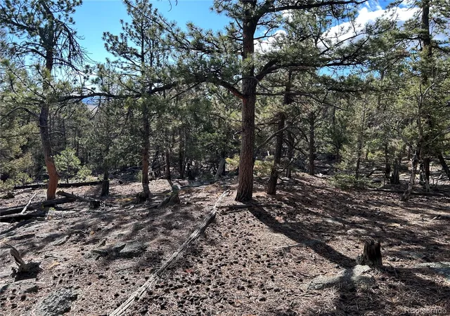 Homes for sale in Hartsel, CO | 1581 Bellows Rd, Hartsel, CO 80449 | MLS# 1974054