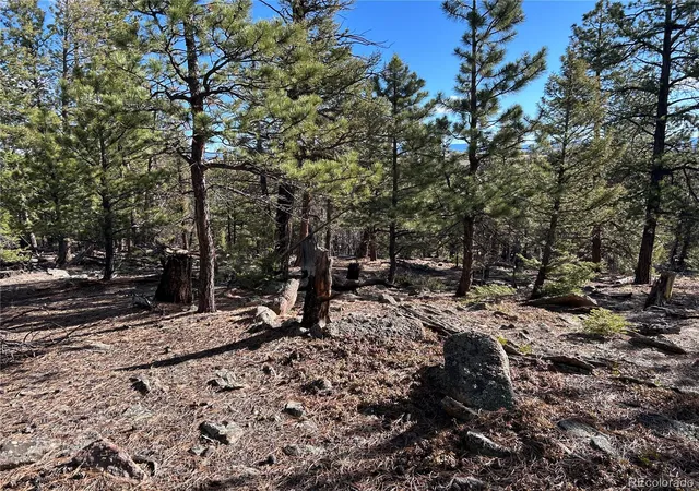 Homes for sale in Hartsel, CO | 1581 Bellows Rd, Hartsel, CO 80449 | MLS# 1974054